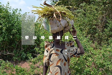 劳动仲裁解释二 劳动仲裁解释二