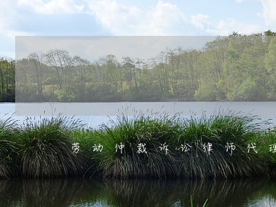 劳动仲裁诉讼律师代理费标准 劳动仲裁诉讼律师代理费标准