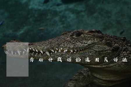劳动仲裁诉讼适用民诉法吗 劳动仲裁诉讼适用民诉法吗