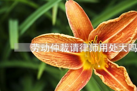 劳动仲裁请律师用处大吗 劳动仲裁请律师用处大吗