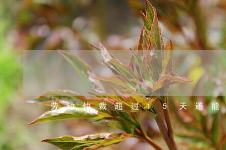 劳动仲裁超过15天还能起诉吗