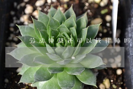 劳动仲裁还可以找律师吗 劳动仲裁还可以找律师吗