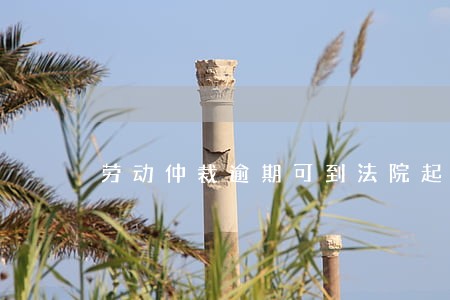 劳动仲裁逾期可到法院起诉 劳动仲裁逾期可到法院起诉