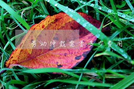 劳动仲裁需要多少费用 劳动仲裁需要多少费用