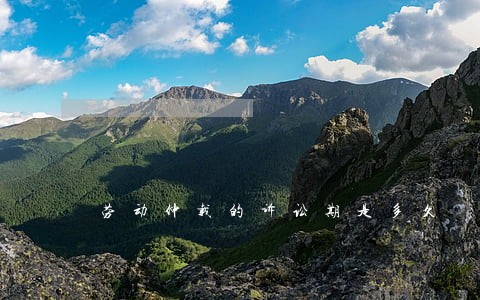 劳动仲载的诉讼期是多久 劳动仲载的诉讼期是多久