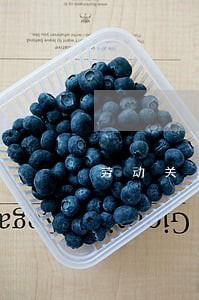 劳动关系及劳动法讲座 劳动关系及劳动法讲座