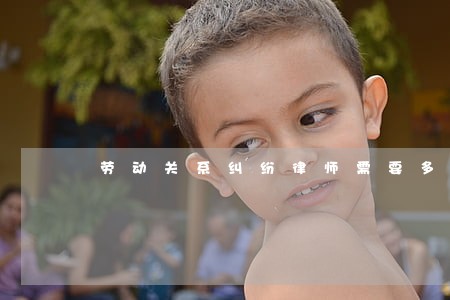 劳动关系纠纷律师需要多少钱 劳动关系纠纷律师需要多少钱