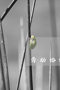 劳动协议和劳动合同法 劳动协议和劳动合同法