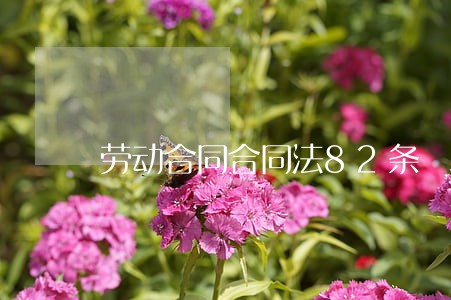 劳动合同合同法82条 劳动合同合同法82条