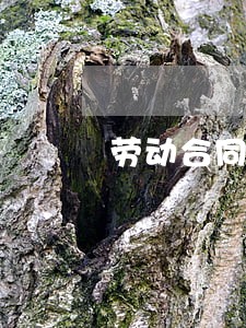 劳动合同法1000字 劳动合同法1000字