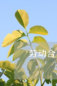 劳动合同法117条 劳动合同法117条