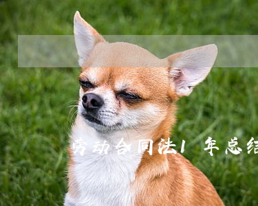 劳动合同法1年总结精选多篇