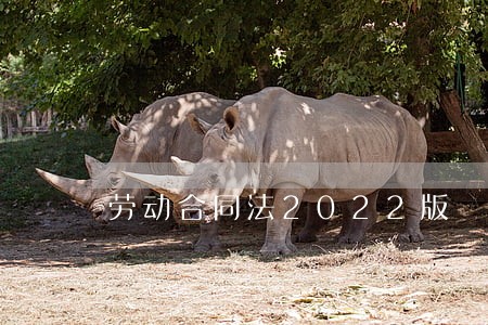 劳动合同法2022版 劳动合同法2022版