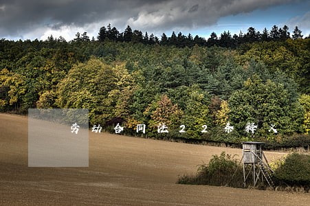 劳动合同法22条释义 劳动合同法22条释义