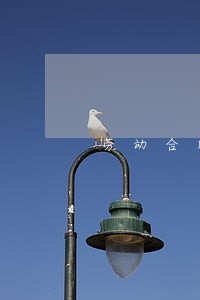 劳动合同法30条 劳动合同法30条