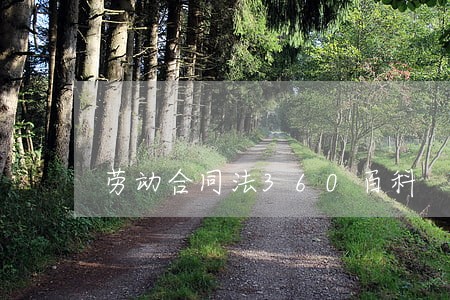 劳动合同法360百科 劳动合同法360百科