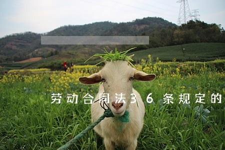 劳动合同法36条规定的 劳动合同法36条规定的