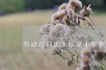 劳动合同法36至45条