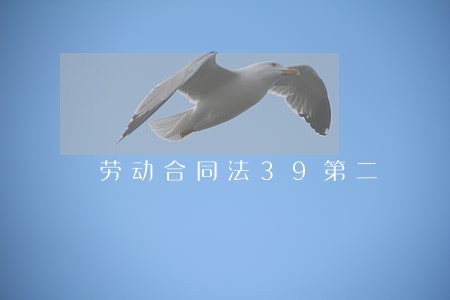 劳动合同法39第二 劳动合同法39第二