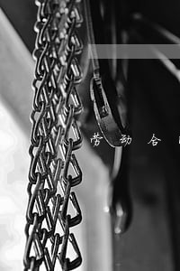 劳动合同法5劳动法 劳动合同法5劳动法