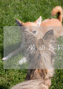 劳动合同法97条理解 劳动合同法97条理解