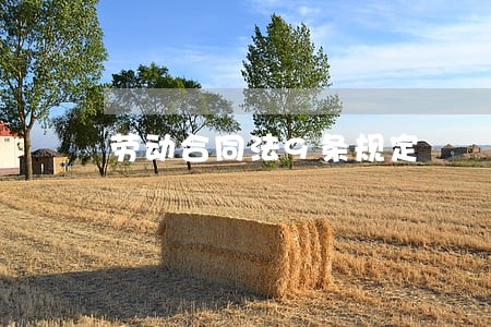 劳动合同法9条规定