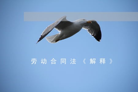劳动合同法《解释》 劳动合同法《解释》