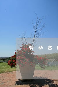 劳动合同法》第三条 劳动合同法》第三条