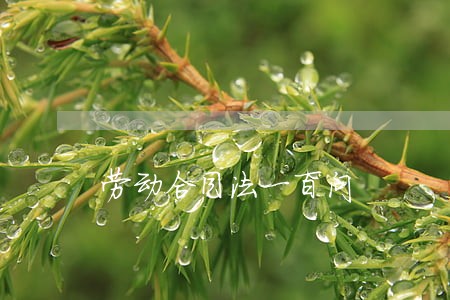 劳动合同法一百问 劳动合同法一百问