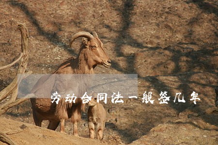 劳动合同法一般签几年