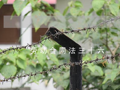 劳动合同法三十六 劳动合同法三十六