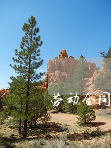 劳动合同法三十六九 劳动合同法三十六九