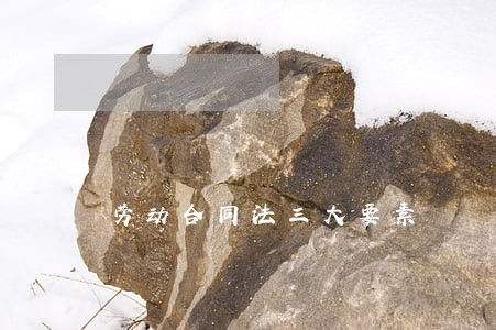 劳动合同法三大要素 劳动合同法三大要素