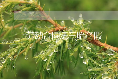 劳动合同法三胎产假 劳动合同法三胎产假