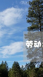 劳动合同法上班八年 劳动合同法上班八年