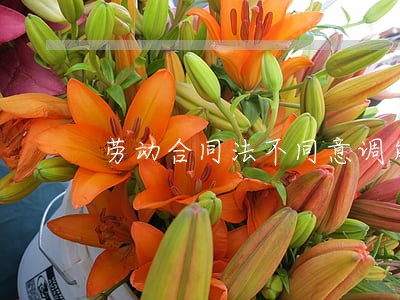 劳动合同法不同意调岗 劳动合同法不同意调岗