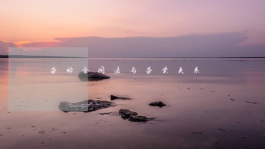 劳动合同法与劳资关系 劳动合同法与劳资关系