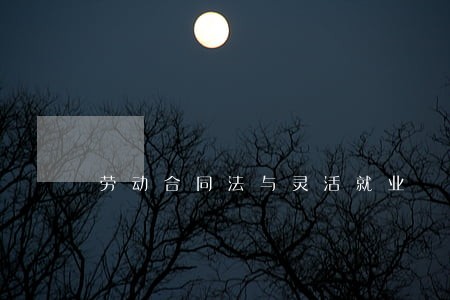 劳动合同法与灵活就业 劳动合同法与灵活就业