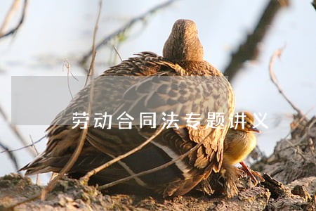 劳动合同法专题讲义 劳动合同法专题讲义
