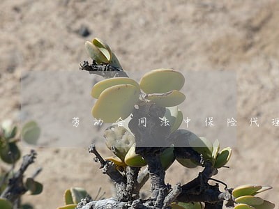 劳动合同法中保险代理公司的职工 劳动合同法中保险代理公司的职工