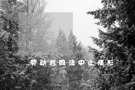 劳动合同法中止情形 劳动合同法中止情形
