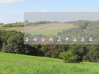 劳动合同法中派遣工 劳动合同法中派遣工
