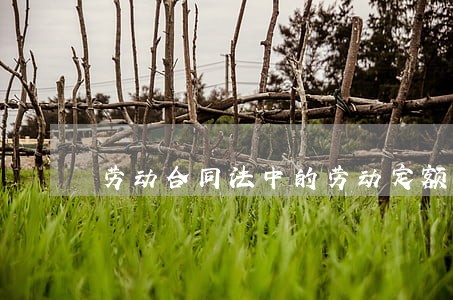 劳动合同法中的劳动定额