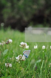 劳动合同法中的无效 劳动合同法中的无效