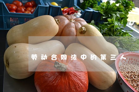 劳动合同法中的第三人 劳动合同法中的第三人
