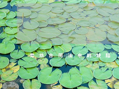 劳动合同法中的缺陷 劳动合同法中的缺陷