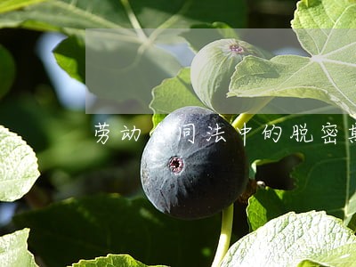 劳动合同法中的脱密期 劳动合同法中的脱密期