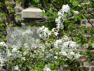 劳动合同法中的赔偿金 劳动合同法中的赔偿金