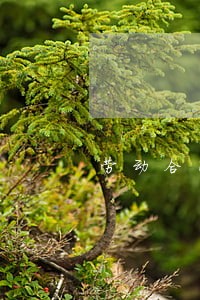 劳动合同法中违约责任 劳动合同法中违约责任