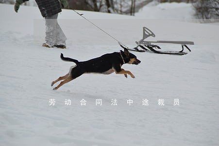 劳动合同法中途裁员 劳动合同法中途裁员